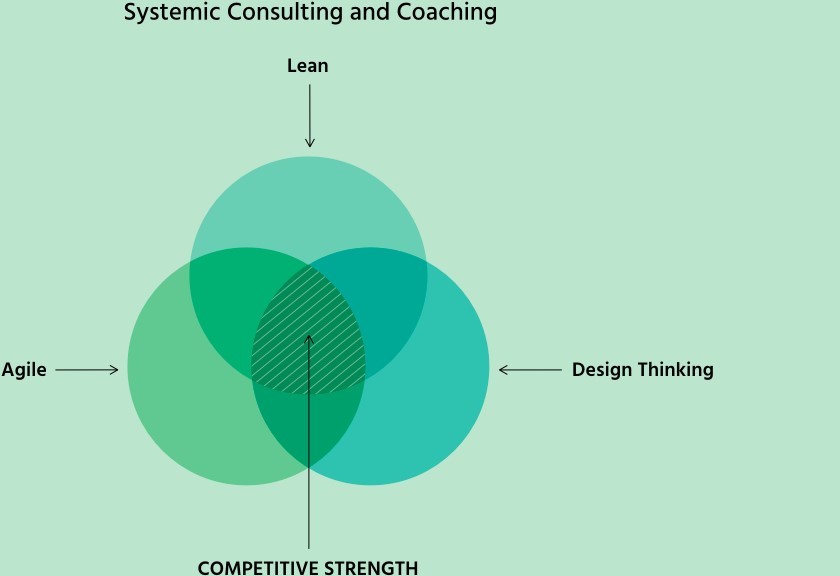 Systemic consulting and coaching for competetive strengh through on Agile, Lean and Design Thinking - Dr. Robert Angst